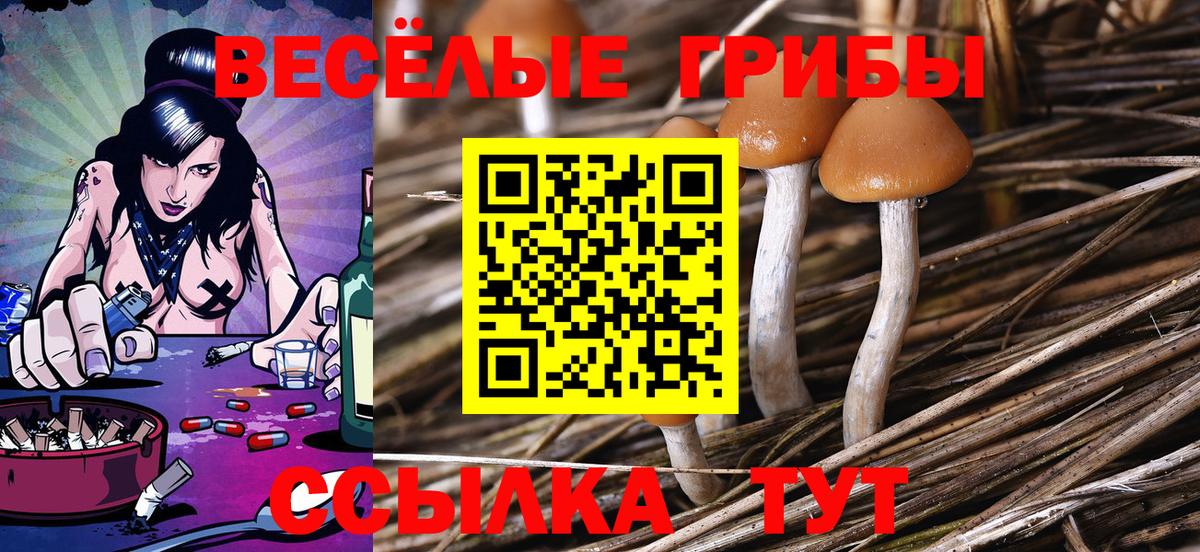 Псилоцибиновые грибы мицелий  Галлюциногенные грибы ЛСД  Фурманов  Вход с VPN 