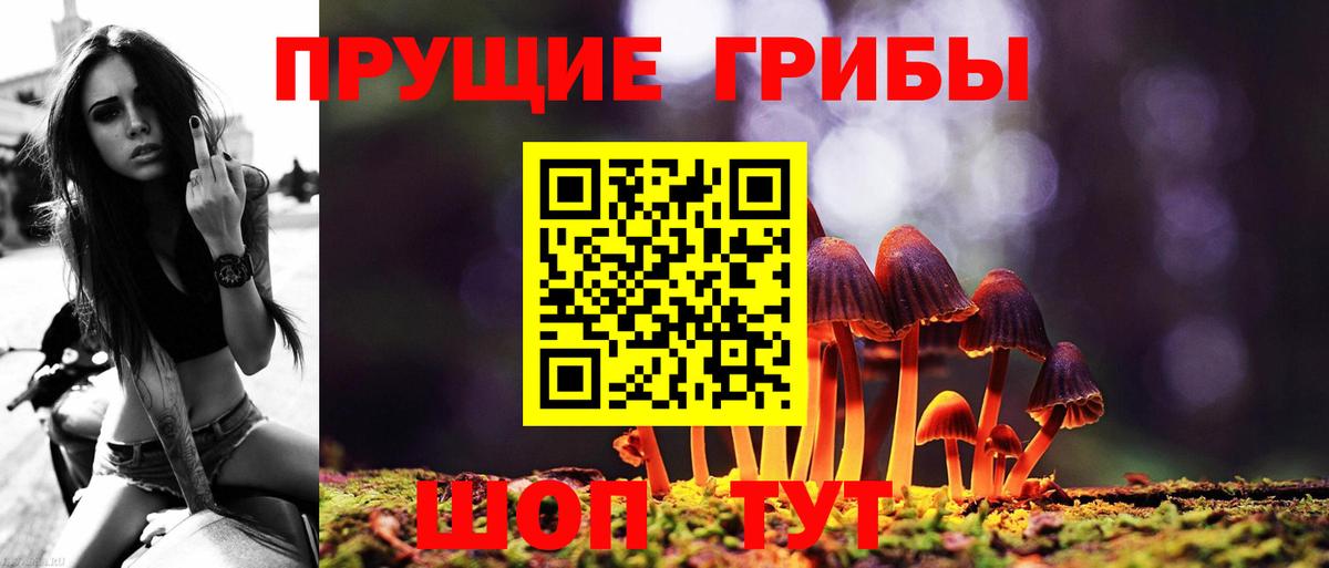 Галлюциногенные грибы Psilocybe Фурманов